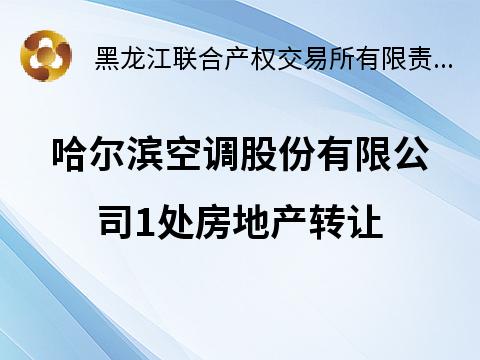 哈尔滨空调股份有限公司1处房地产转让交易公告