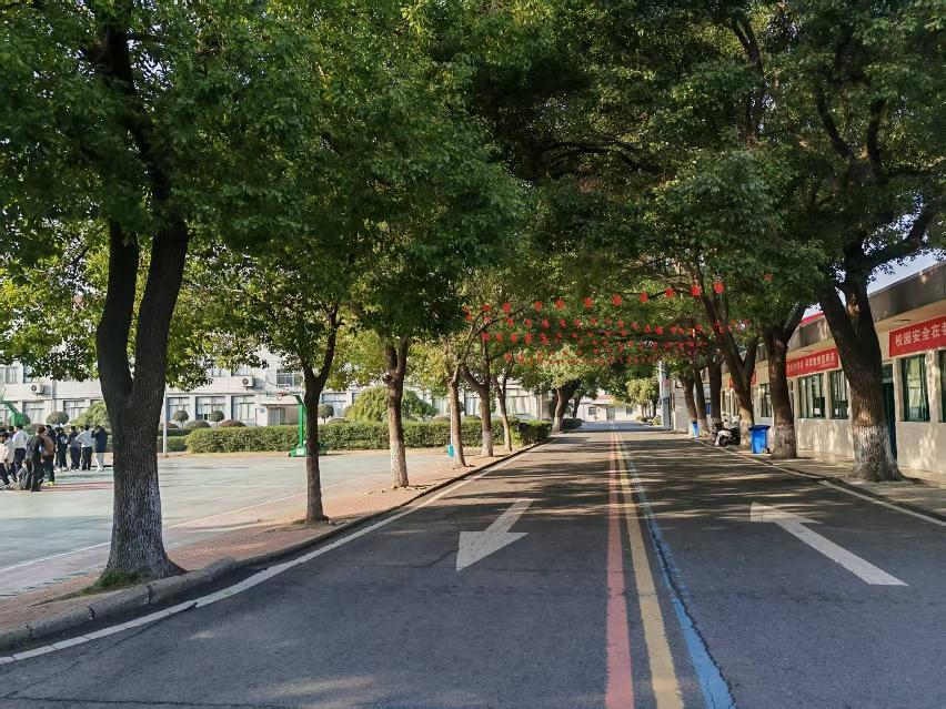 夏凉路101号招租公告