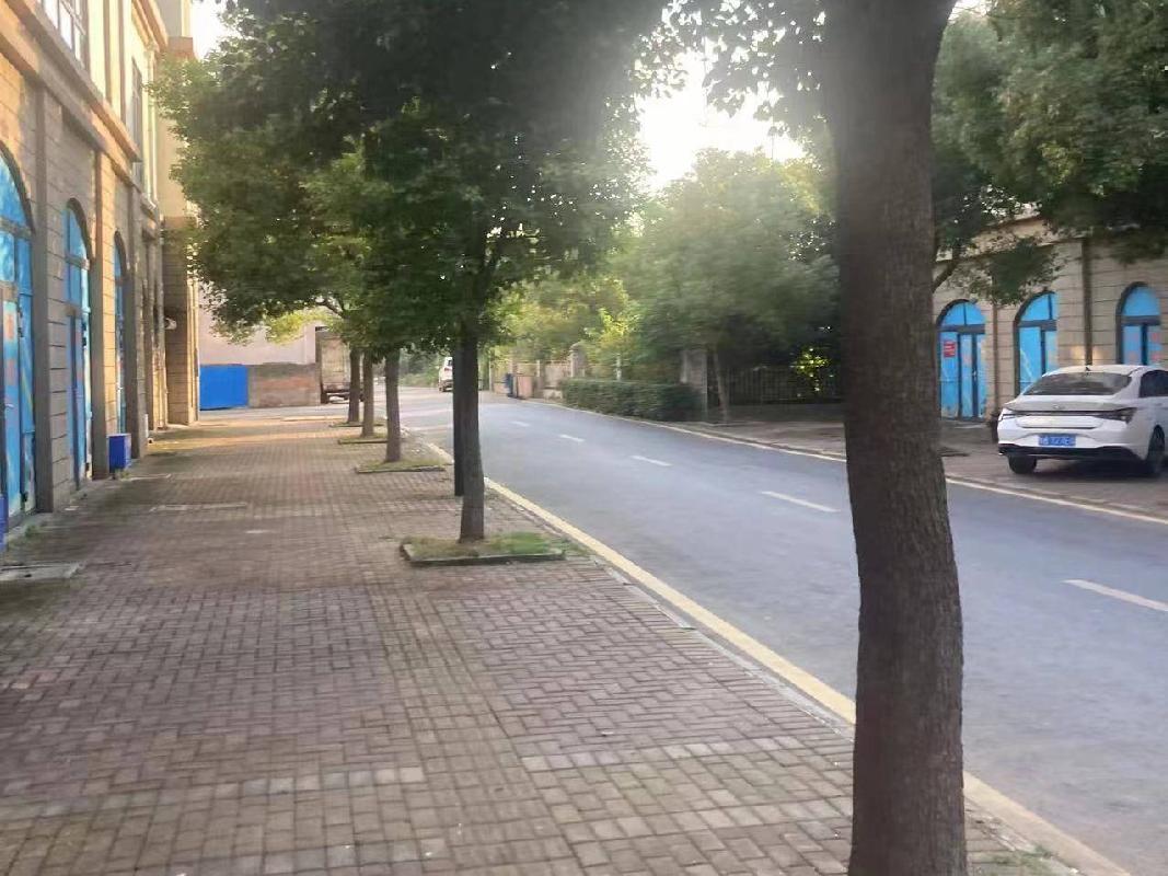 芜湖市荻港镇华亿商业中心S-01号楼1-21号网点商业房产转让公告(国资监测编号GR2026AH2000238)