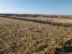 内蒙古兴安农垦集团有限责任公司呼和分公司约6506亩土地经营权（耕地-水浇地）出租