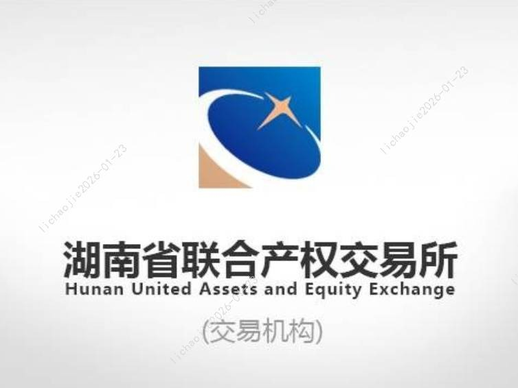 湖南赛隆生物制药有限公司100%股权(七次挂牌)