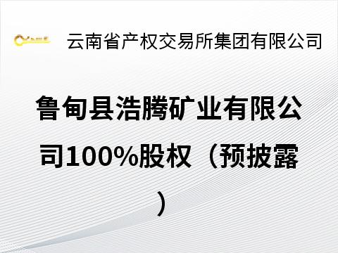 鲁甸县浩腾矿业有限公司100%股权
