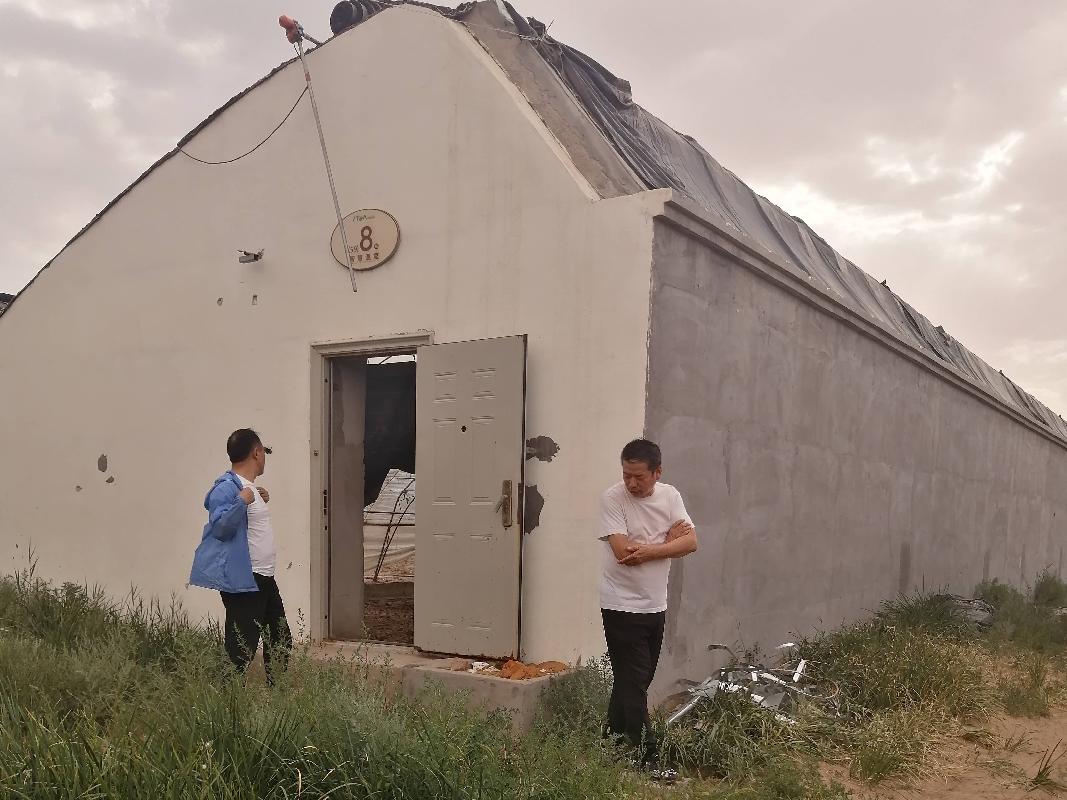乌海市乌达区海勃湾水利枢纽工程库区移民农业创业园项目31栋温室大棚整体经营权出租（租金底价：124000元/年，租期：3年）