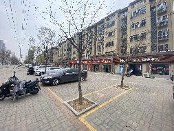 江苏徐州丰县安居八期8-88房产招租项目公告(国资监测编号GR2026JS4000525-4)