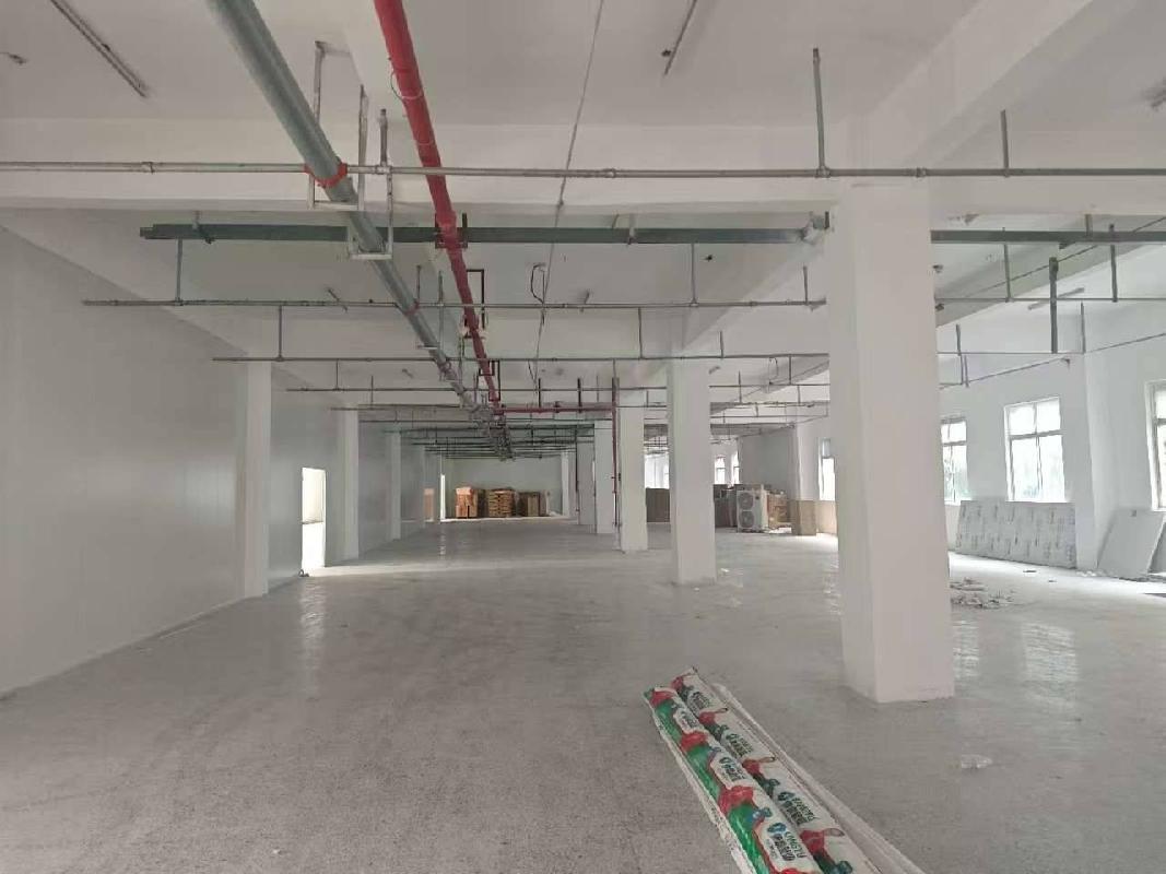江苏徐州睢宁县千百汇智能产业园屋面3号厂房部分招租项目公告(国资监测编号GR2026JS4001856)