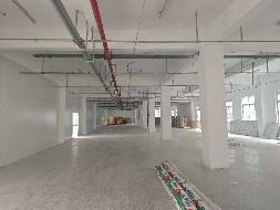 江苏徐州睢宁县千百汇智能产业园屋面3号厂房部分招租项目公告(国资监测编号GR2026JS4001856)