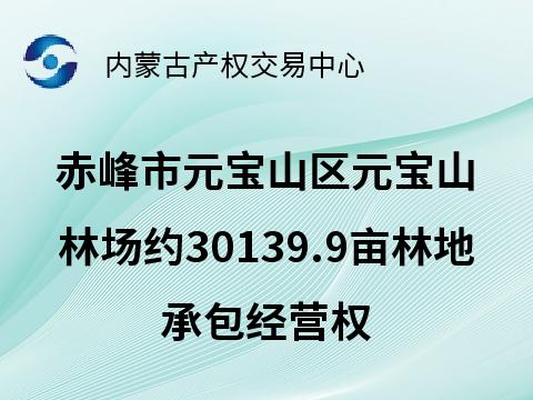 赤峰市元宝山区元宝山林场约30139.9亩林地承包经营权转让（承包期10年，承包底价195909350元/10年）