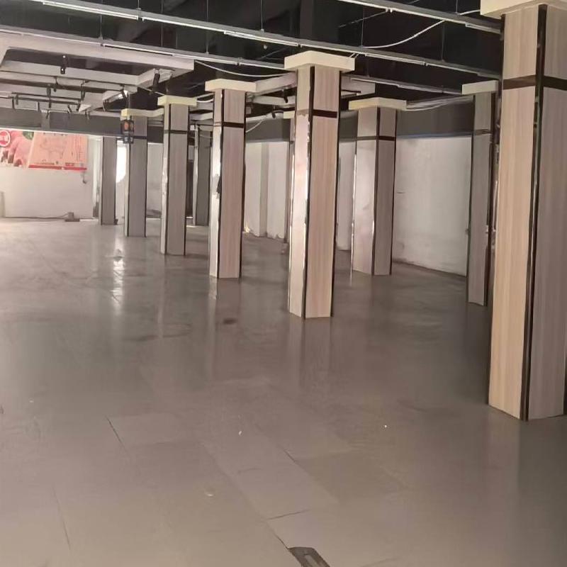 芜湖市镜湖区赤铸山庄33#楼101号商业房产出租公告(国资监测编号GR2026AH2000388)