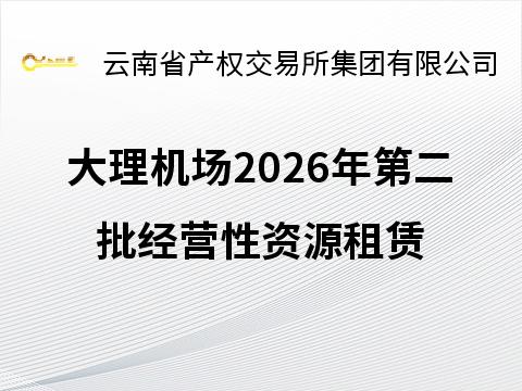 大理机场2026年第二批经营性资源租赁项目