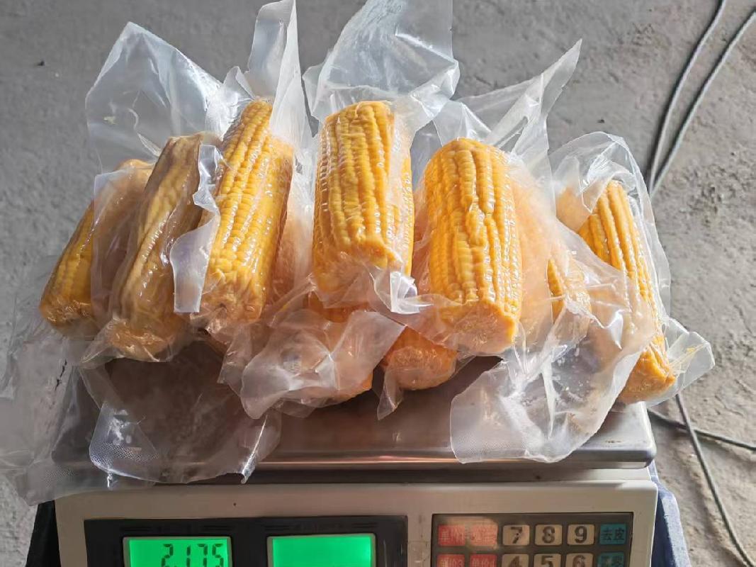 100000穗鲜食玉米整体出售（内蒙古通粮集团金宝屯国家粮食储备库有限公司）