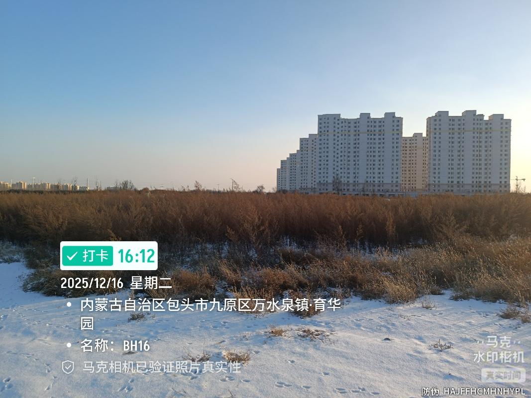 包头市稀土高新技术产业开发区一批约2503.73亩临时储备用地(种植)出租（租期8个月，承包底价1003745.00元）