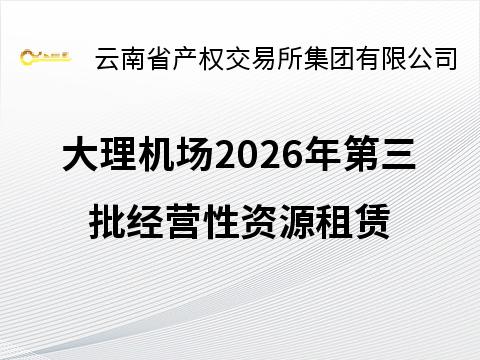 大理机场2026年第三批经营性资源租赁