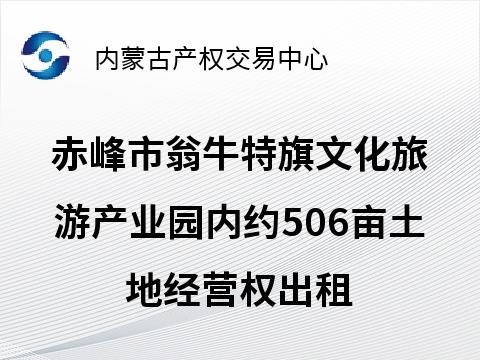 赤峰市翁牛特旗文化旅游产业园内约506亩土地经营权出租（租金底价597.00元/亩，租期1年）(国资监测编号GR2026NM1000852)