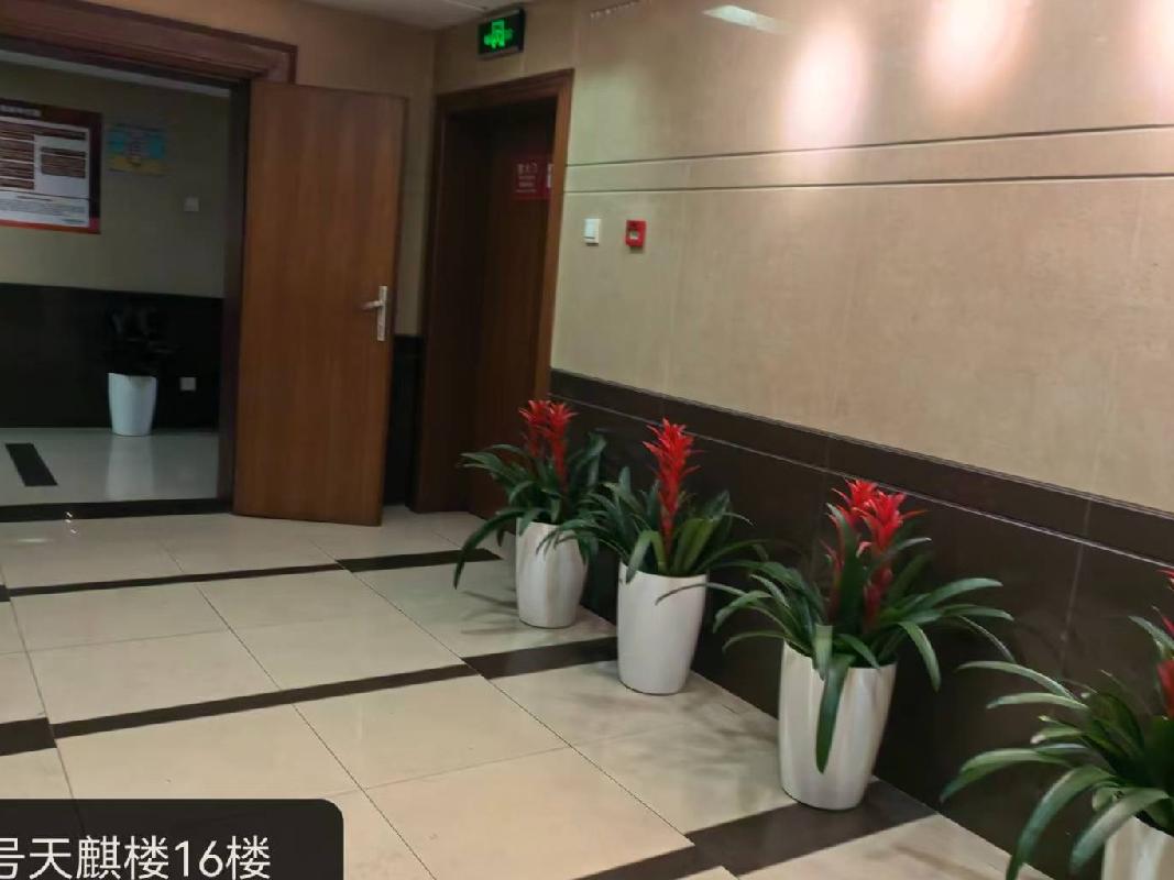 雨花区芙蓉中路二段275号湖南省食品总公司1601(国资监测编号GR2026HN1000387)