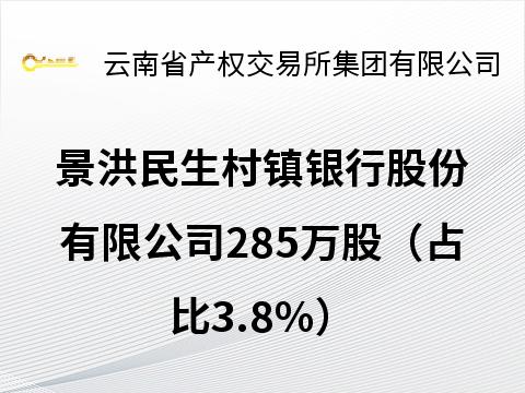 景洪民生村镇银行股份有限公司285万股（占比3.8%）