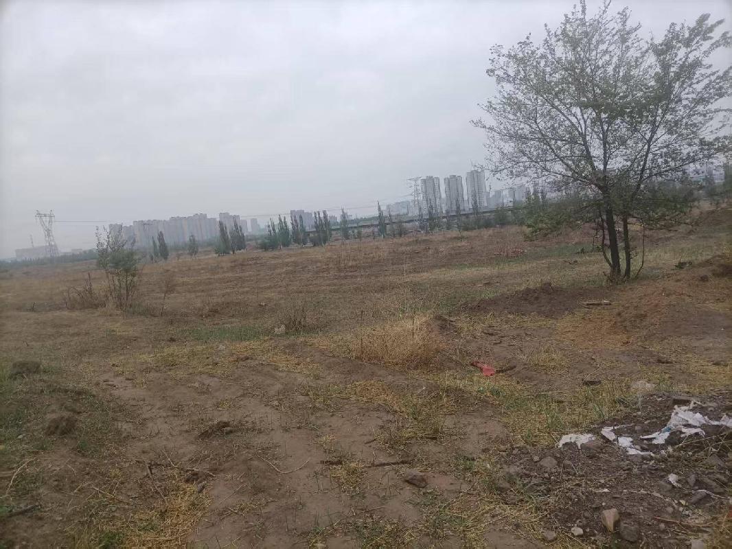 赤峰市外环西路以东、天山路以西、半支箭河以南、宝山路以北约380.88亩耕地土地经营权出租（租金底价171.00元/亩，租期1年）(国资监测编号GR2026NM1000924)