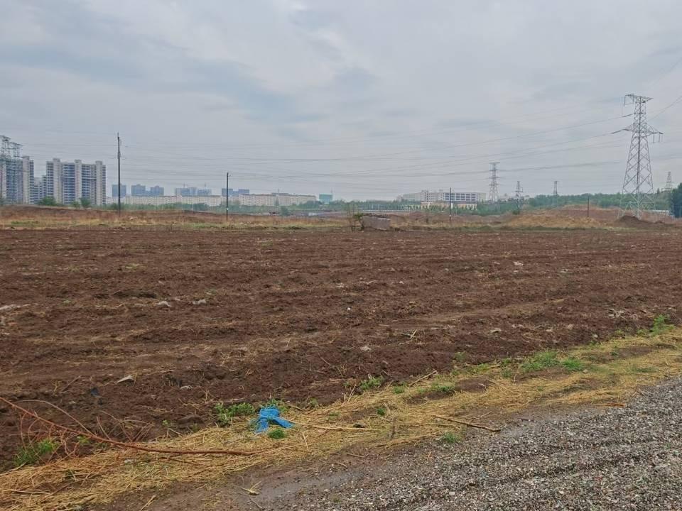 赤峰市外环西路以东、天山路以西、半支箭河以南、宝山路以北约380.88亩耕地土地经营权出租（租金底价171.00元/亩，租期1年）(国资监测编号GR2026NM1000924)