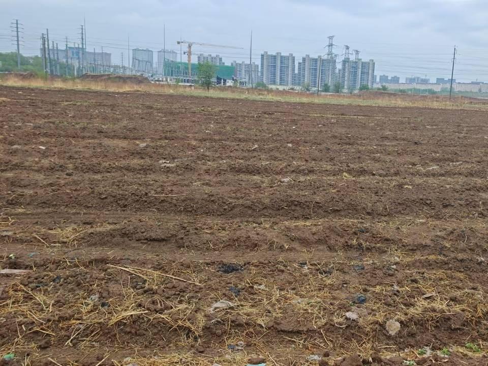 赤峰市外环西路以东、天山路以西、半支箭河以南、宝山路以北约380.88亩耕地土地经营权出租（租金底价171.00元/亩，租期1年）(国资监测编号GR2026NM1000924)
