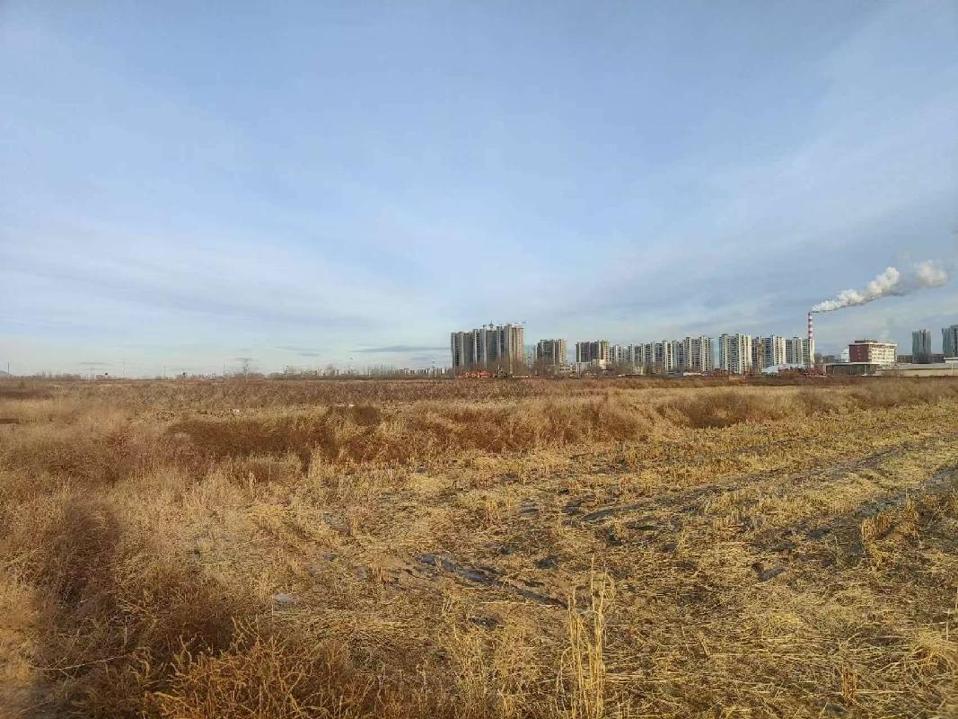 赤峰市老哈河大街以南、大宁路以东、方兴街以北、春水路以西约370亩耕地土地经营权出租（租金底价182.00元/亩，租期1年）(国资监测编号GR2026NM1000923)