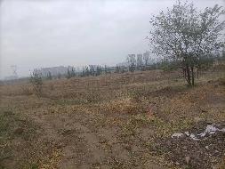赤峰市外环西路以东、天山路以西、半支箭河以南、宝山路以北约380.88亩耕地土地经营权出租（租金底价171.00元/亩，租期1年）(国资监测编号GR2026NM1000924)