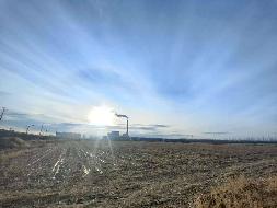 赤峰市老哈河大街以南、大宁路以东、方兴街以北、春水路以西约370亩耕地土地经营权出租（租金底价182.00元/亩，租期1年）(国资监测编号GR2026NM1000923)