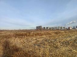 赤峰市老哈河大街以南、大宁路以东、方兴街以北、春水路以西约370亩耕地土地经营权出租（租金底价182.00元/亩，租期1年）(国资监测编号GR2026NM1000923)