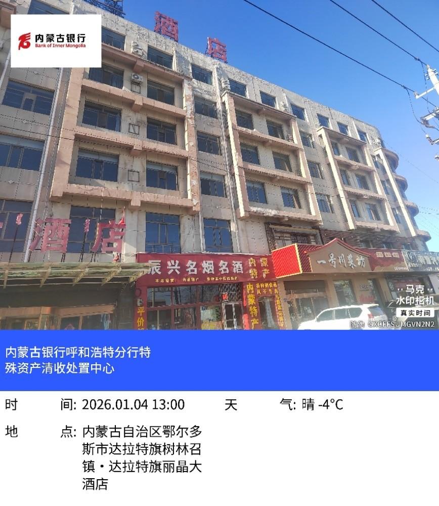 内蒙古自治区鄂尔多斯市达拉特旗树镇达拉特路西树西街北育才B区综合楼5层-6层资产租赁项目(二次挂牌)