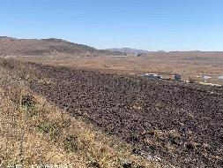 岷县岷州文旅发展(集团)有限公司 岷山种畜场土地租赁（2026年第一批）公告（第二次）