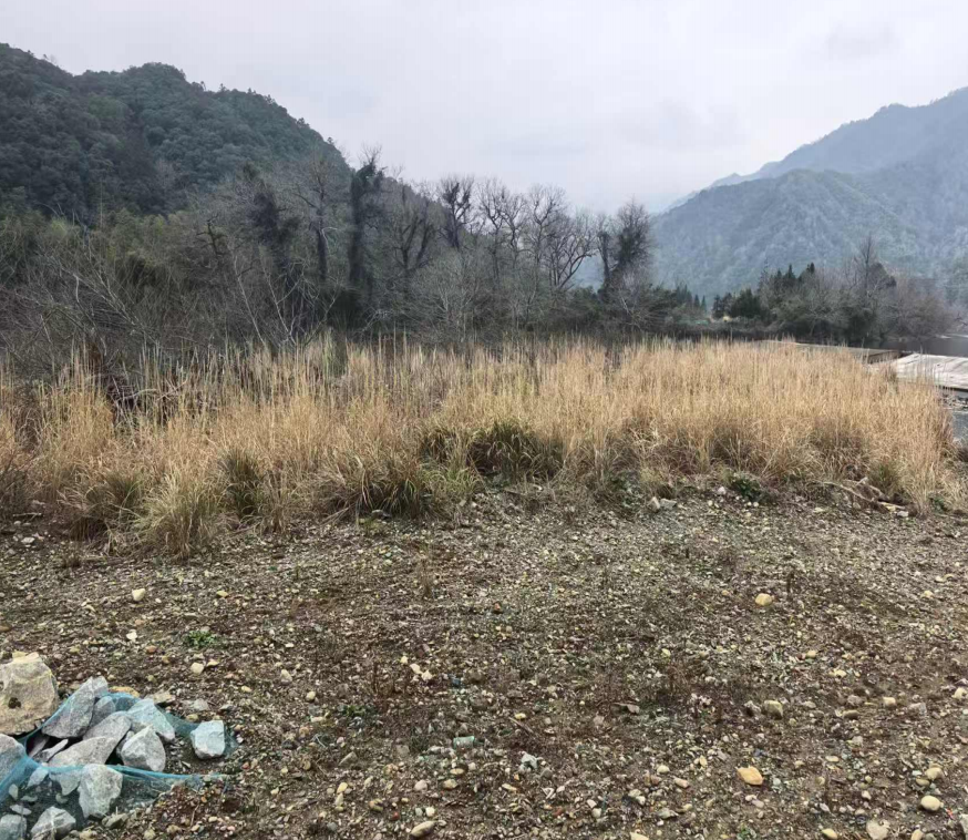 石台县公信河干流段防洪治理工程第二批砂石土资源转让（第二次）公告(国资监测编号GR2026AH2000561)