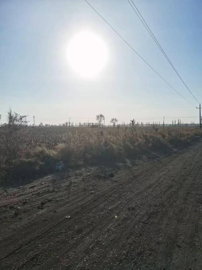 乌拉特前旗白彦花镇达日盖嘎查的299.54亩水浇地和249.61亩旱地的土地出租（460737元/年，3年，内蒙古第五地质矿产勘查开发有限责任公司）(国资监测编号GR2026NM1001005)