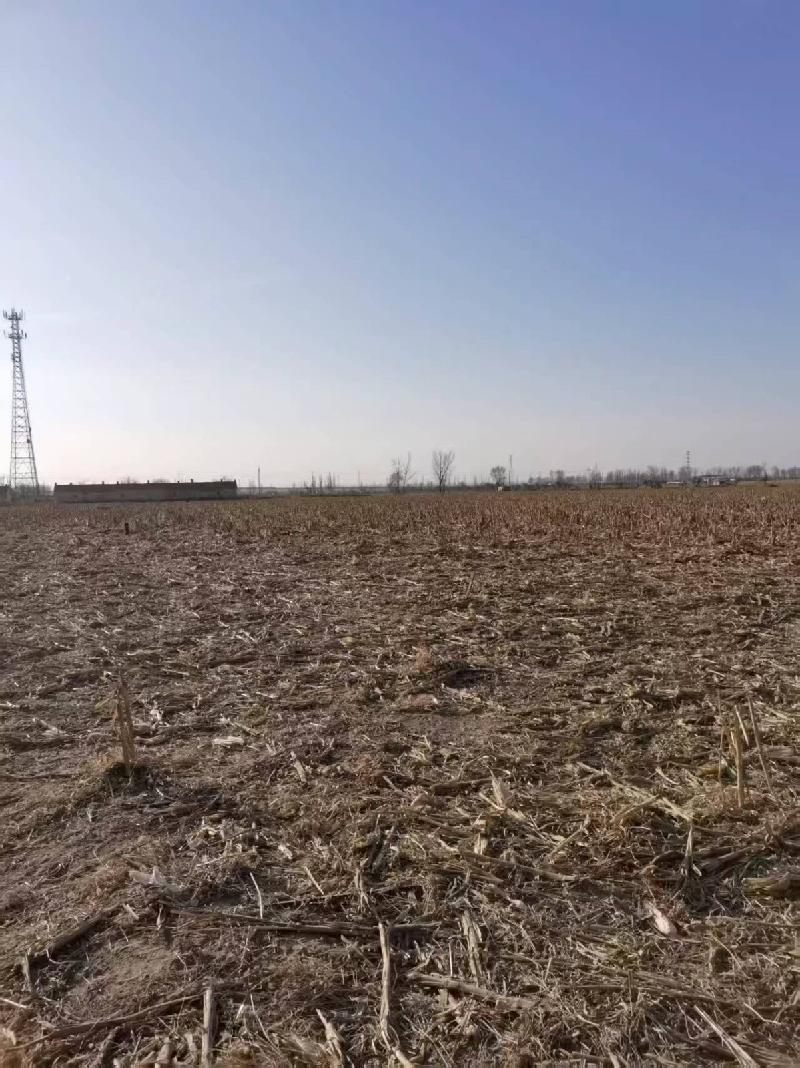 乌拉特前旗白彦花镇达日盖嘎查的299.54亩水浇地和249.61亩旱地的土地出租（460737元/年，3年，内蒙古第五地质矿产勘查开发有限责任公司）(国资监测编号GR2026NM1001005)