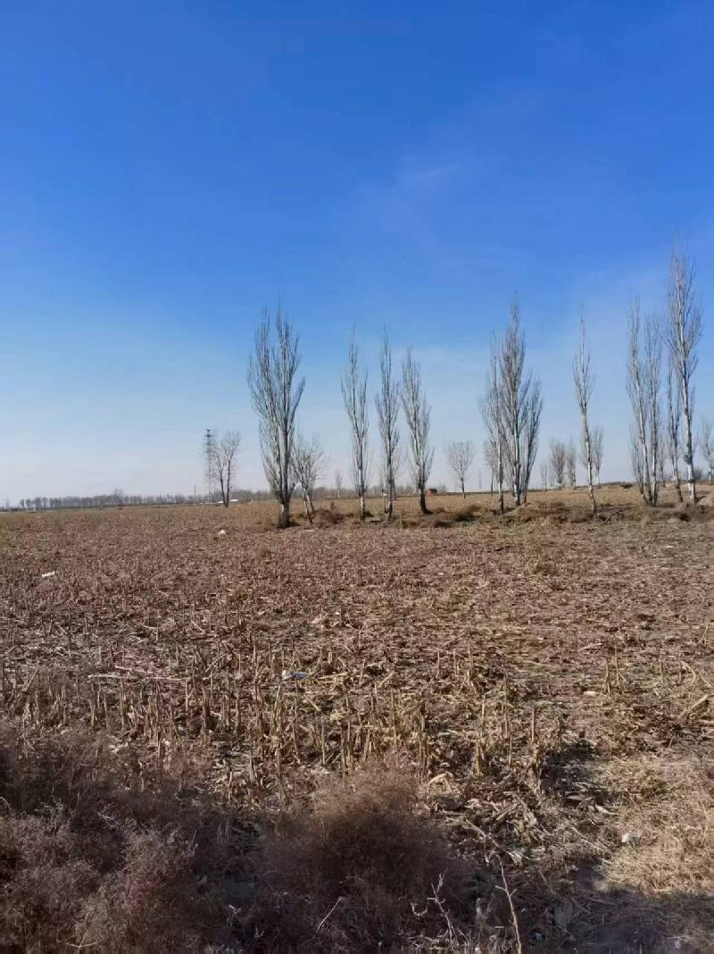 乌拉特前旗白彦花镇达日盖嘎查的299.54亩水浇地和249.61亩旱地的土地出租（460737元/年，3年，内蒙古第五地质矿产勘查开发有限责任公司）(国资监测编号GR2026NM1001005)