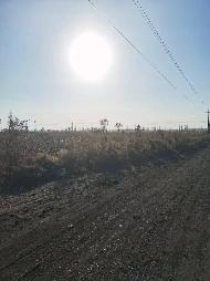 乌拉特前旗白彦花镇达日盖嘎查的299.54亩水浇地和249.61亩旱地的土地出租（460737元/年，3年，内蒙古第五地质矿产勘查开发有限责任公司）(国资监测编号GR2026NM1001005)