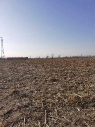 乌拉特前旗白彦花镇达日盖嘎查的299.54亩水浇地和249.61亩旱地的土地出租（460737元/年，3年，内蒙古第五地质矿产勘查开发有限责任公司）(国资监测编号GR2026NM1001005)
