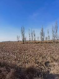 乌拉特前旗白彦花镇达日盖嘎查的299.54亩水浇地和249.61亩旱地的土地出租（460737元/年，3年，内蒙古第五地质矿产勘查开发有限责任公司）(国资监测编号GR2026NM1001005)