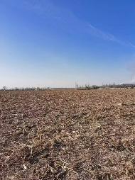 乌拉特前旗白彦花镇达日盖嘎查的299.54亩水浇地和249.61亩旱地的土地出租（460737元/年，3年，内蒙古第五地质矿产勘查开发有限责任公司）(国资监测编号GR2026NM1001005)