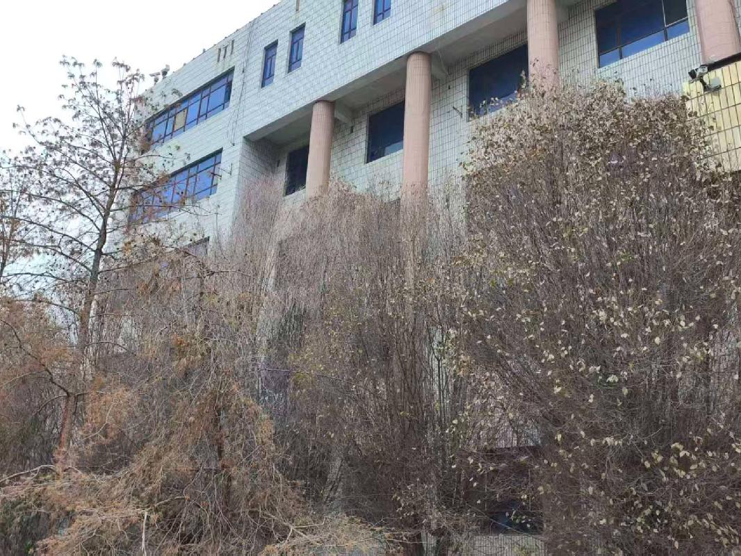 新疆双河国投运营集团有限公司转让位于博乐市八区红星路49号一宗土地使用权及地上建筑物(国资监测编号GR2026XJ1000343)