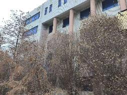 新疆双河国投运营集团有限公司转让位于博乐市八区红星路49号一宗土地使用权及地上建筑物(国资监测编号GR2026XJ1000343)