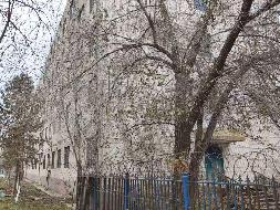新疆双河国投运营集团有限公司转让位于博乐市八区红星路49号一宗土地使用权及地上建筑物(国资监测编号GR2026XJ1000343)