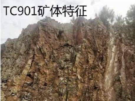 江西省瑞金市油茶坑详查、瑞金市陈坑银金矿详查探矿权打包转让