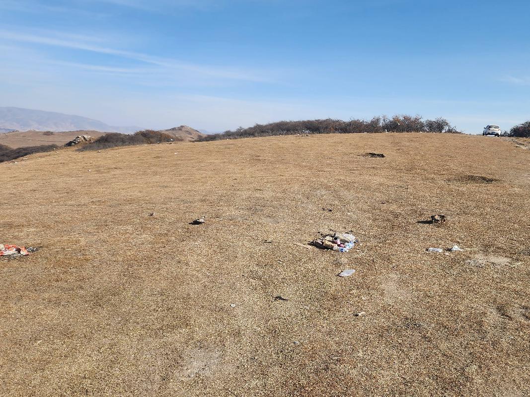 岷县岷州文旅发展(集团)有限公司岷山种畜场土地租赁（2026年第二批）公告