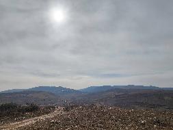 岷县岷州文旅发展(集团)有限公司岷山种畜场土地租赁（2026年第二批）公告