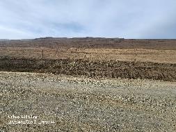 岷县岷州文旅发展(集团)有限公司岷山种畜场土地租赁（2026年第二批）公告
