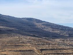 岷县岷州文旅发展(集团)有限公司岷山种畜场土地租赁（2026年第二批）公告