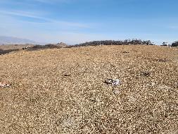 岷县岷州文旅发展(集团)有限公司岷山种畜场土地租赁（2026年第二批）公告