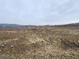 岷县岷州文旅发展(集团)有限公司岷山种畜场土地租赁（2026年第二批）公告