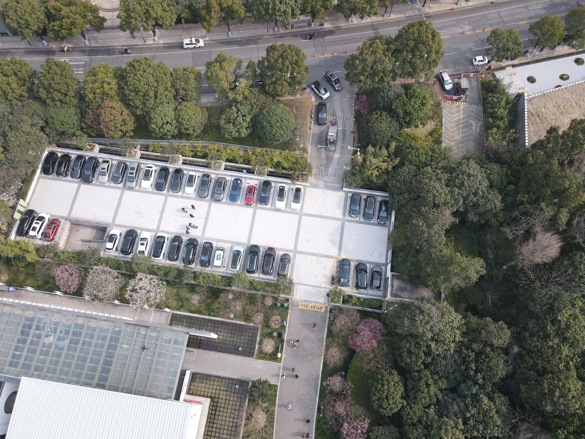 [常州市]红梅公园书画院地上、地下；根雕馆；南门帕克之约停车场招租公告