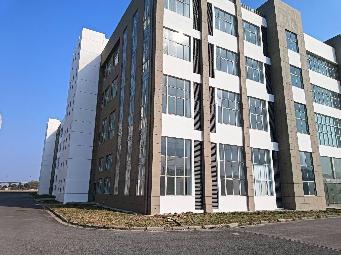 实业公司3号5号厂房招租公告