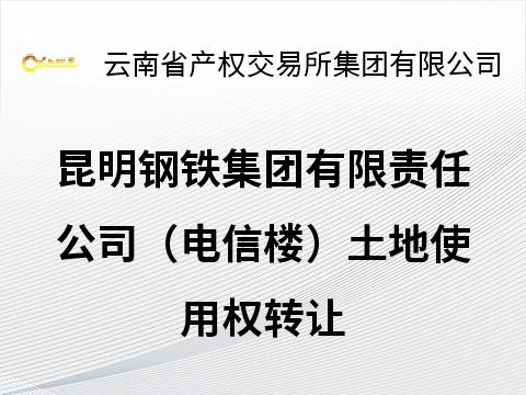 昆明钢铁集团有限责任公司（电信楼）土地使用权转让(国资监测编号GR2026YN1000101)