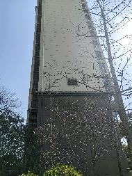 安庆市迎江区长风花园小区73套住宅出租公告(国资监测编号GR2026AH2000560)